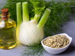 25 مورد از مهم ترین خواص و مضرات رازیانه + چه کسانی نباید بخورند!
