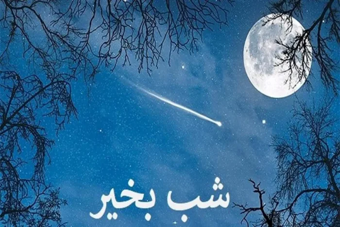 پیامک های قشنگ و متنوع برای شب بخیر گفتن