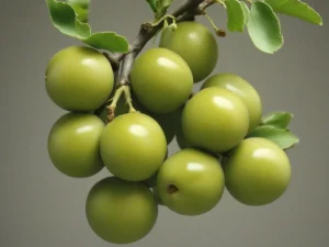 خواص و مضرات گوجه سبز
