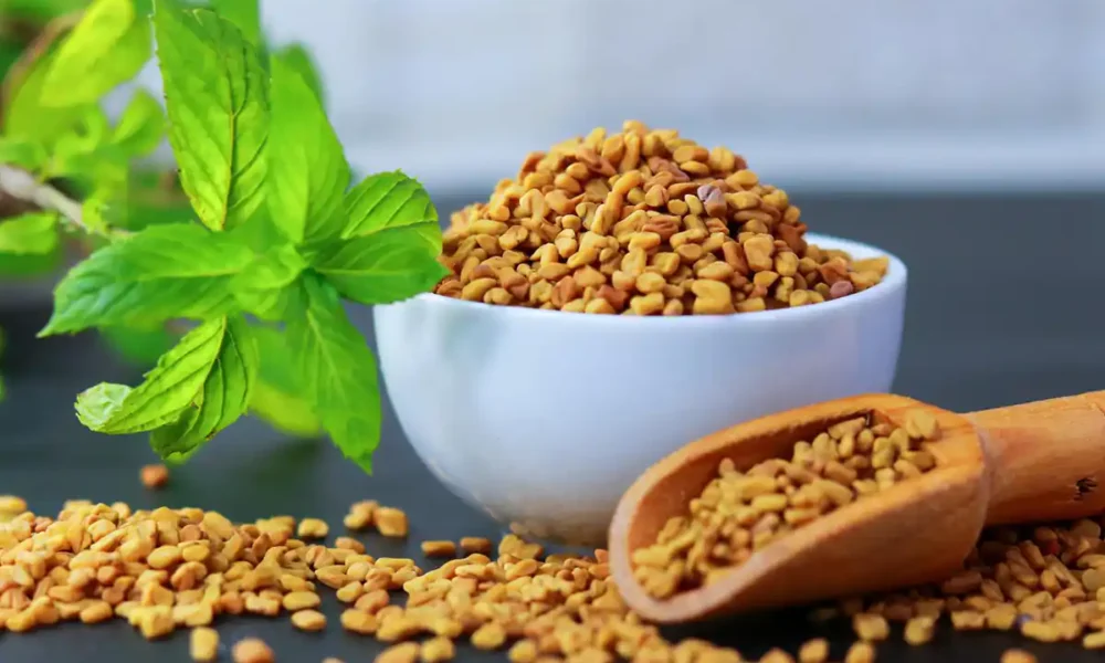 24 مورد از مهم ترین خواص و مضرات شنبلیله + چه کسانی نباید بخورند!