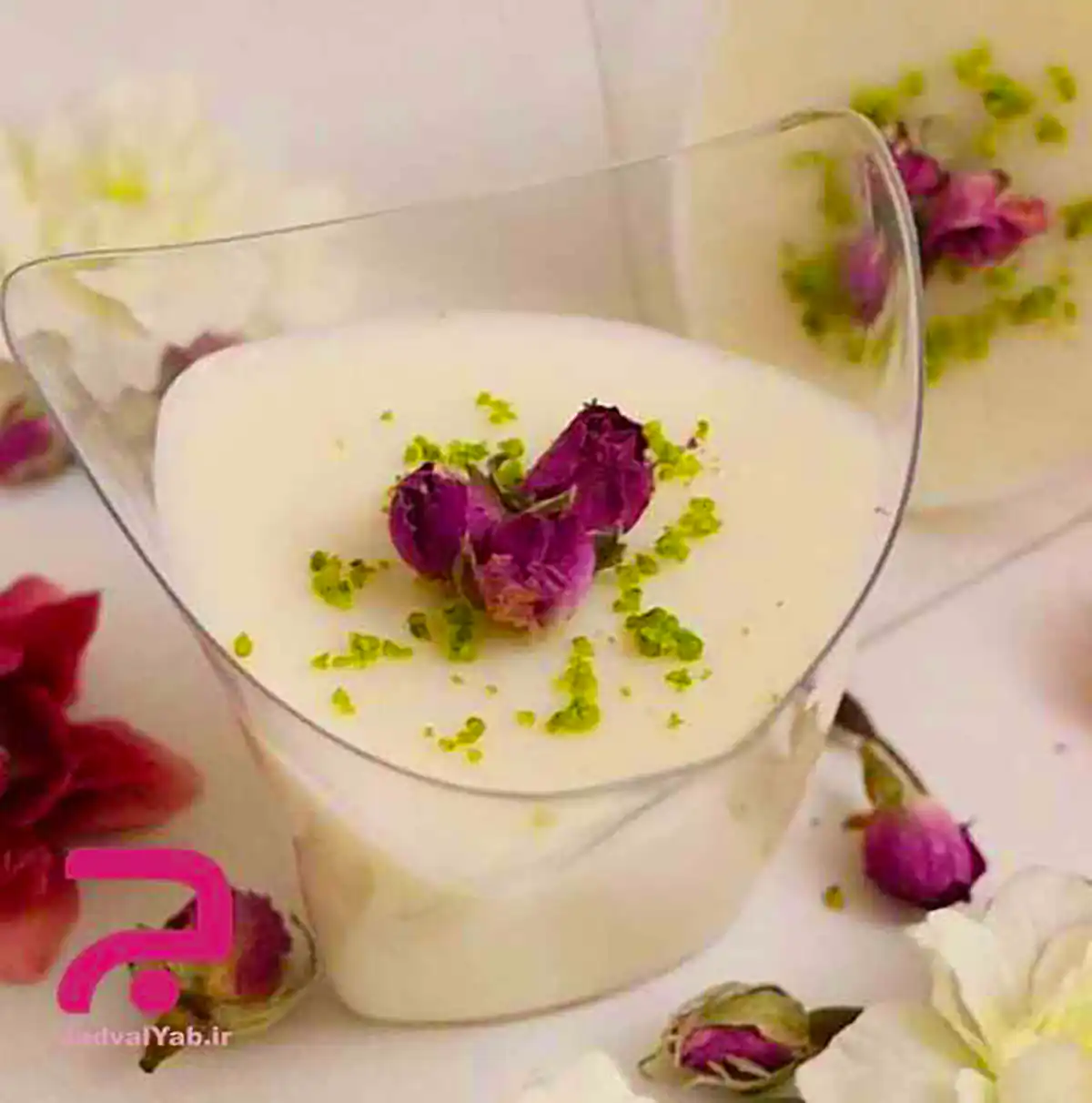 سرو فرنی حرفه ای