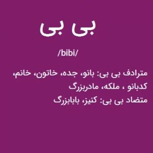 معنی بی بی لازم