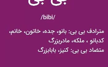 معنی بی بی لازم